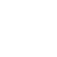 Career Video